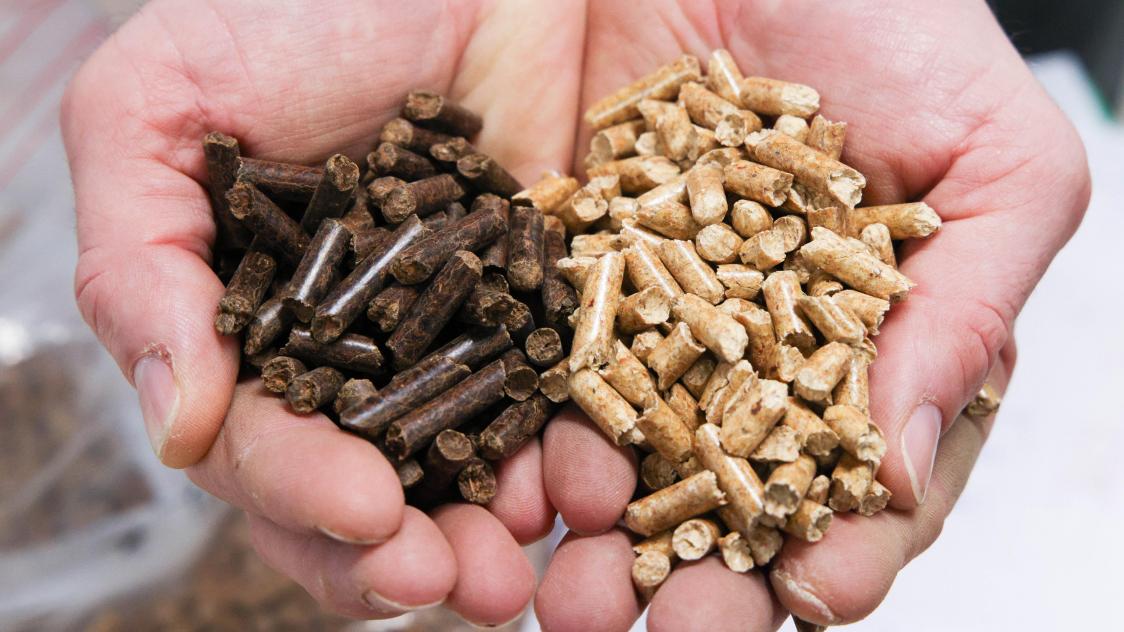 Holzpellets